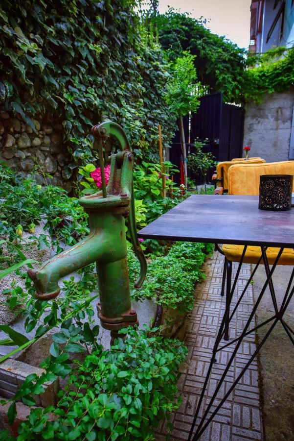 12 B&B Shkodër Extérieur photo